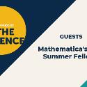 Mathematica's 2019 Summer Fellows