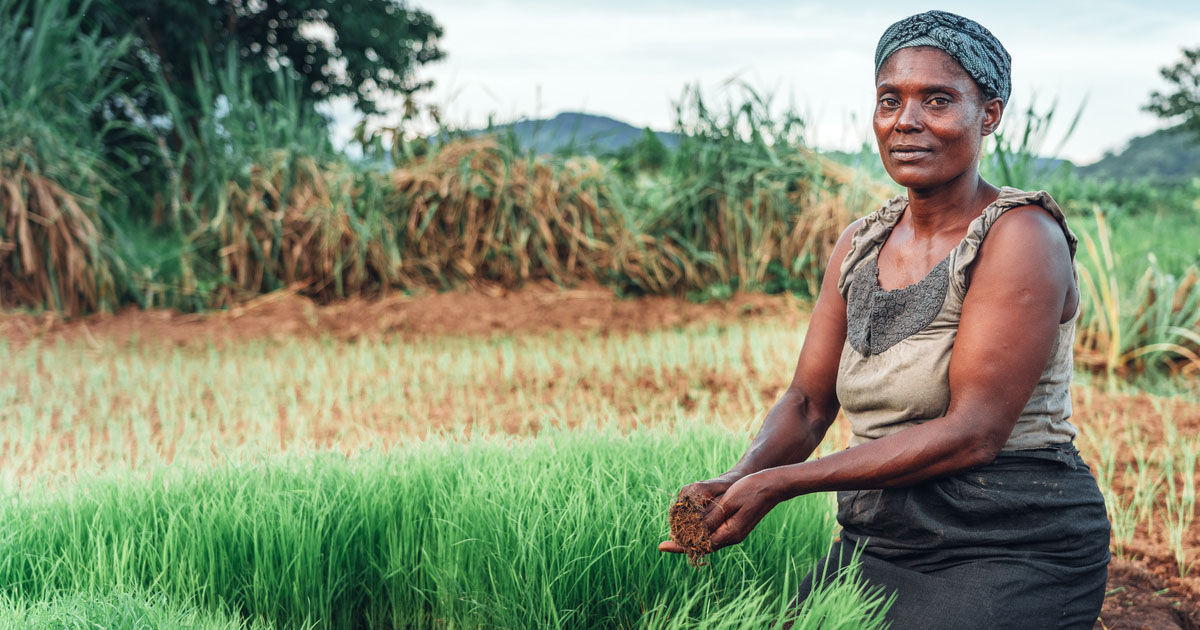 Woman in field of grains