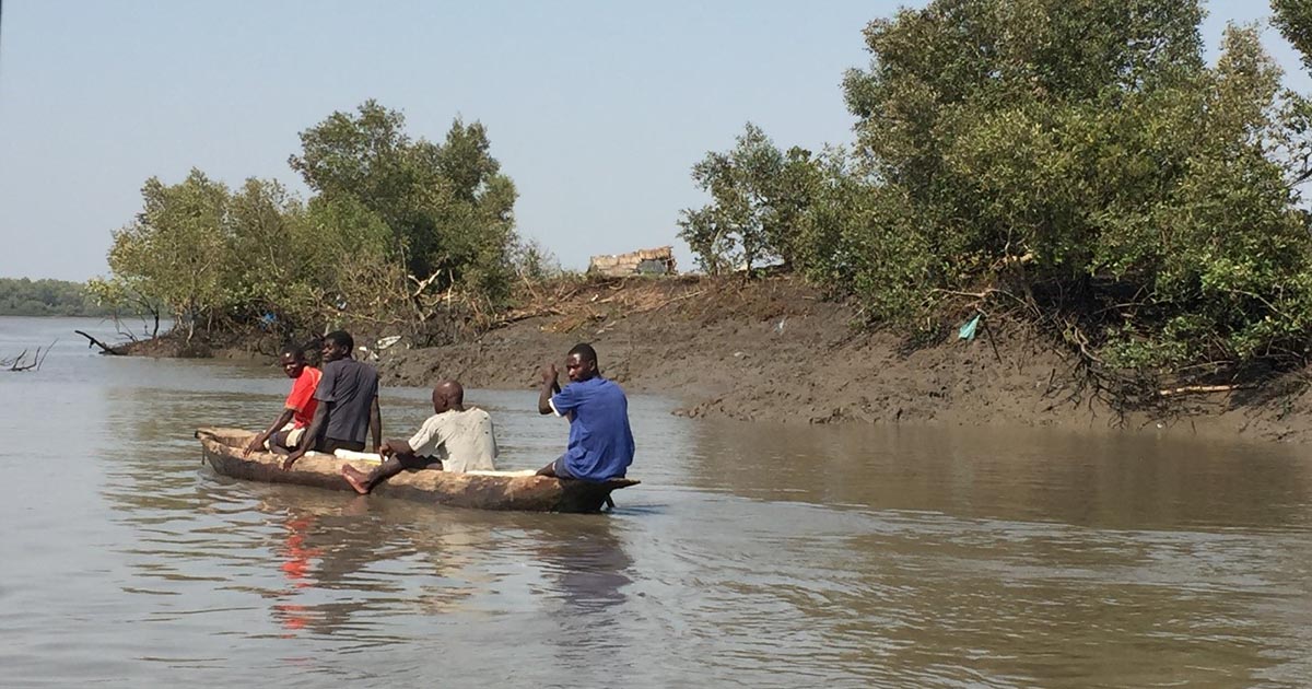 Men in search of mangrove wood for charcoal along coastal Quelimane, Mozambique.