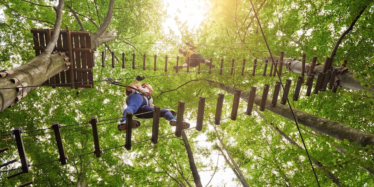 People climbing a high in the trees ladder