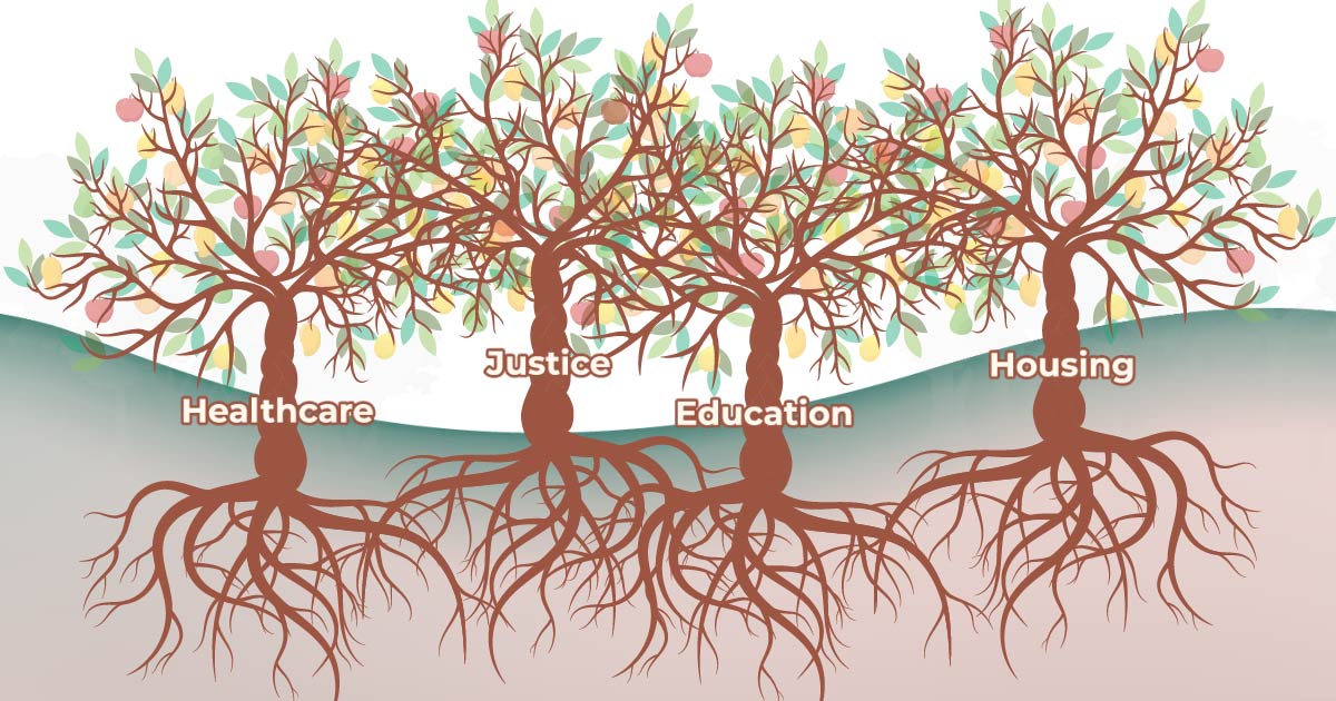 Intersectionality 4 Trees