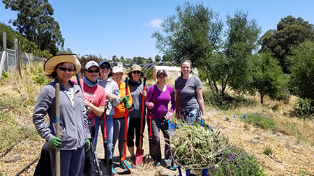 Oakland, CA Mathematica staff involved in corporate giving for a nonprofit Planting Justice