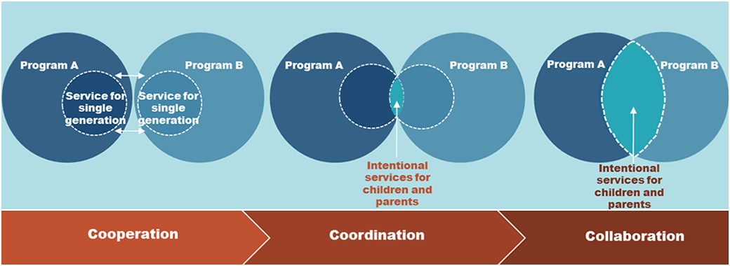 Coordinated services program chart