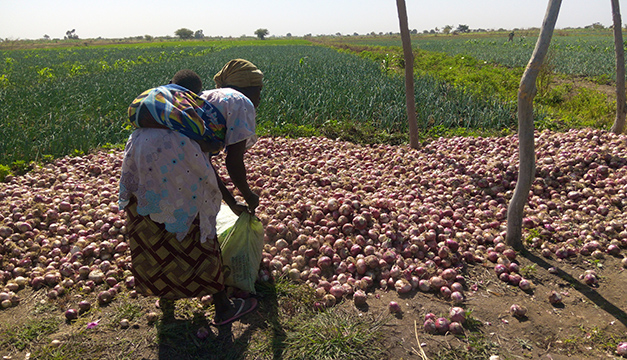 Woman with onions