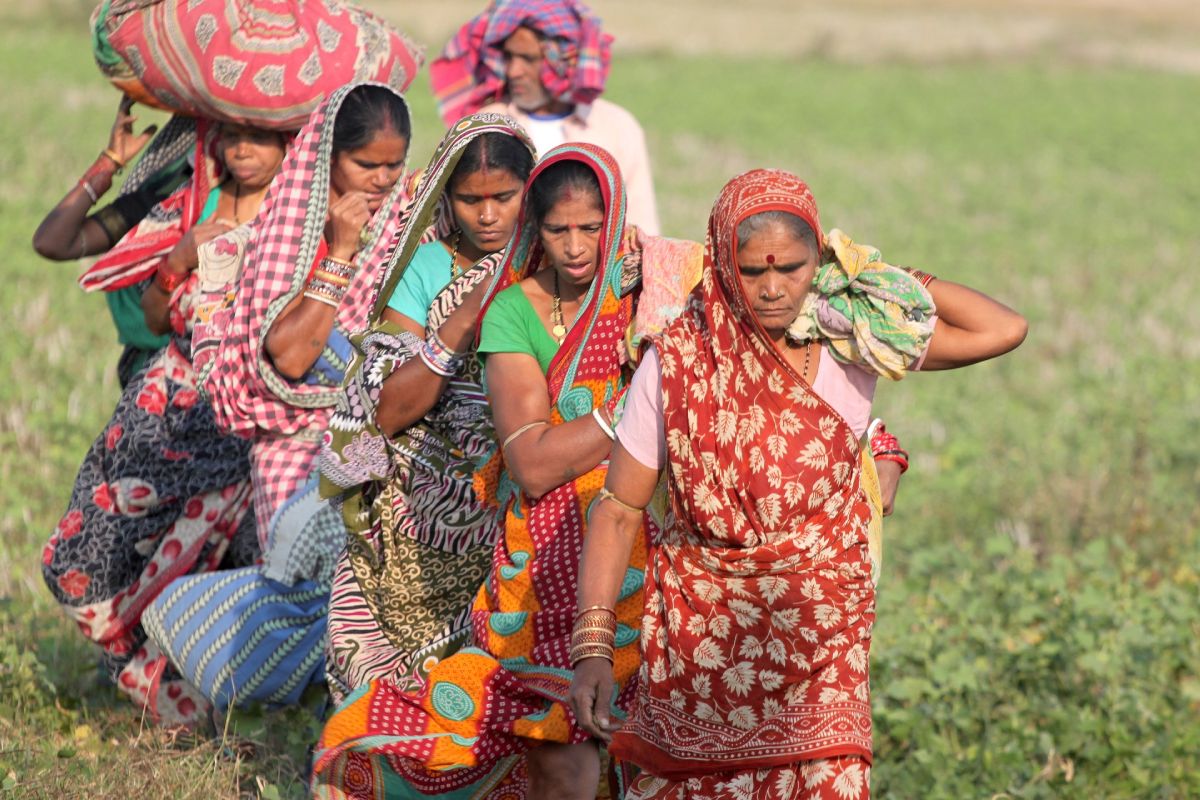 Learning Partnership on Developing Smallholder-Inclusive Markets in Odisha, India