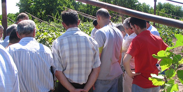 Armenia farming demonstration