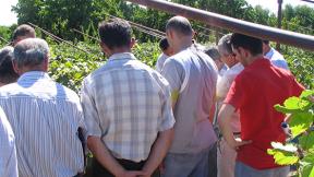 Armenia farming demonstration