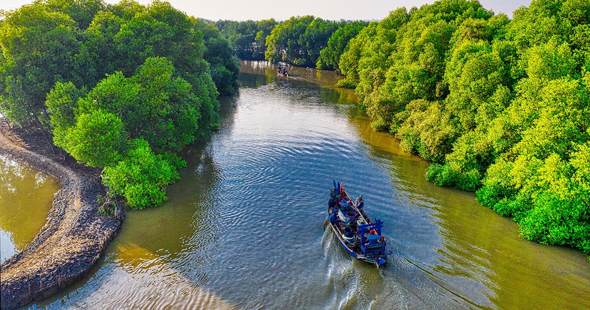 a boat on a river surrounded by trees