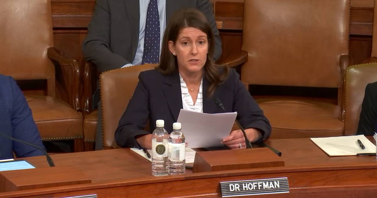 Denise Hoffman speaking from notes at the Joint Social Security and Work & Welfare Subcommittee Hearing on Untapped Talent in America, as publicly livestreamed
