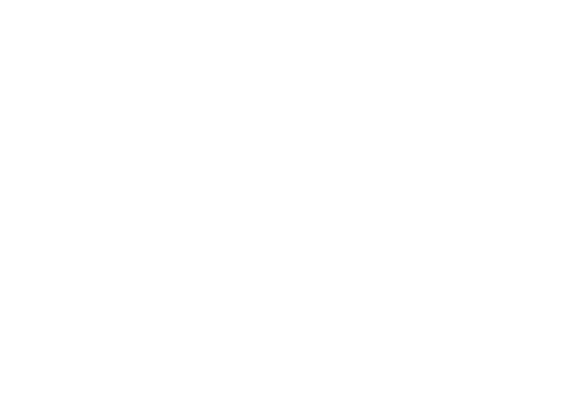 LI2 logo