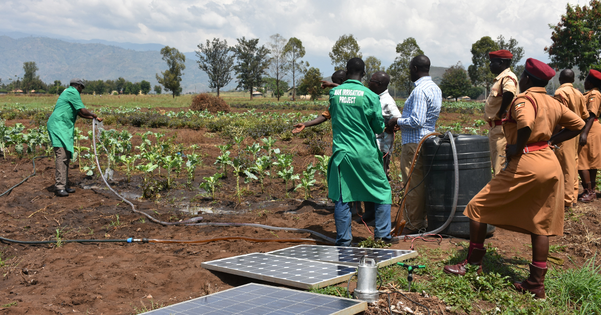 Users exploring the Ezy-Agric app in Uganda.
