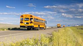 a yellow school buses on a road