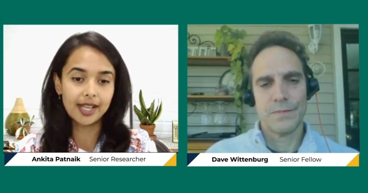 Screenshot of Dave Wittenburg and Ankita Patnaik speaking on video